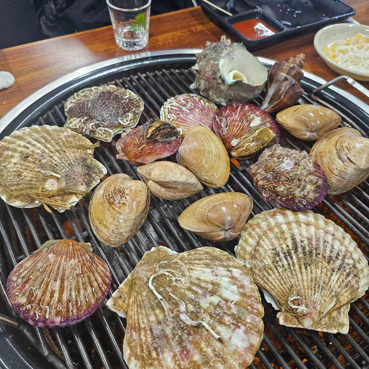 조개나라 대표 사진