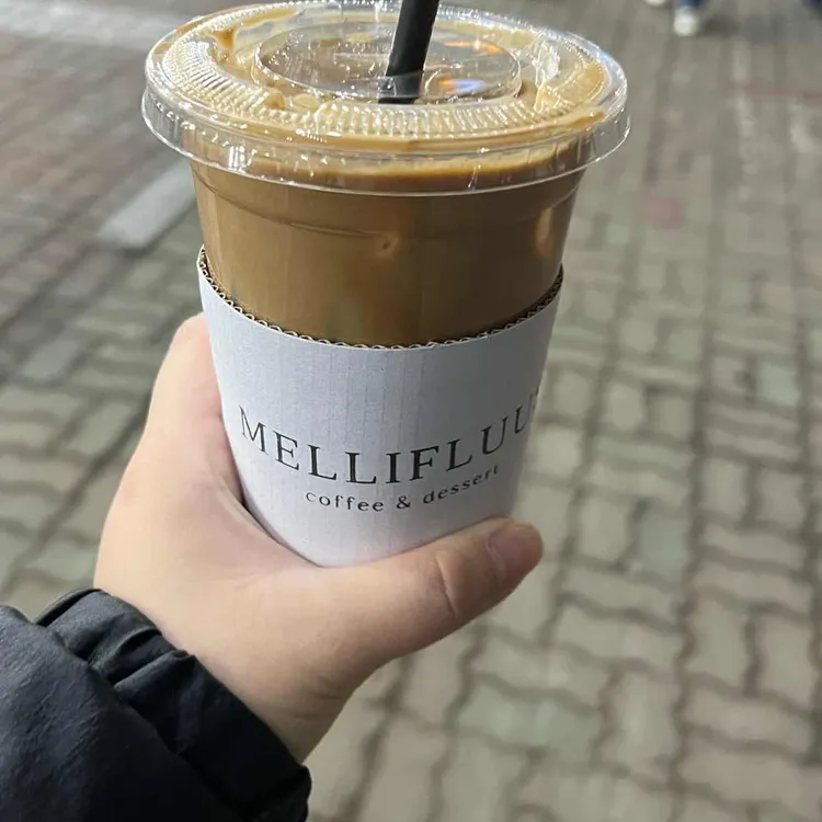 멜리플루어스 대표 사진