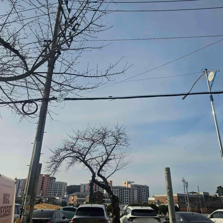 메가커피 대표 사진