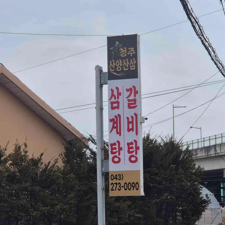 청주산양산삼 대표 사진