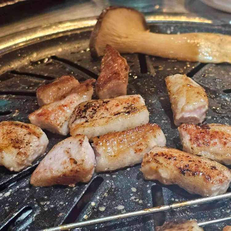 시집못간돼지 대표 사진