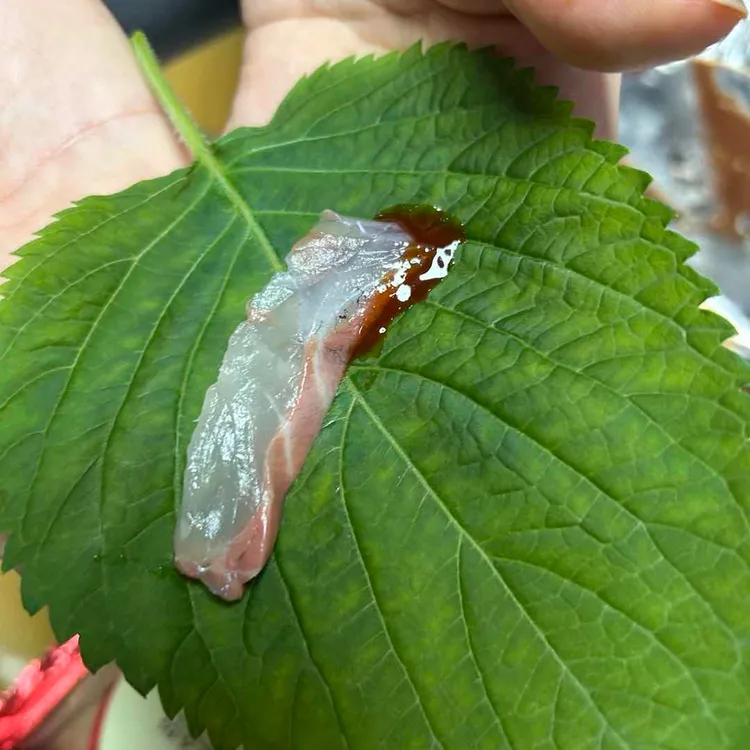 장수횟집 사진 2