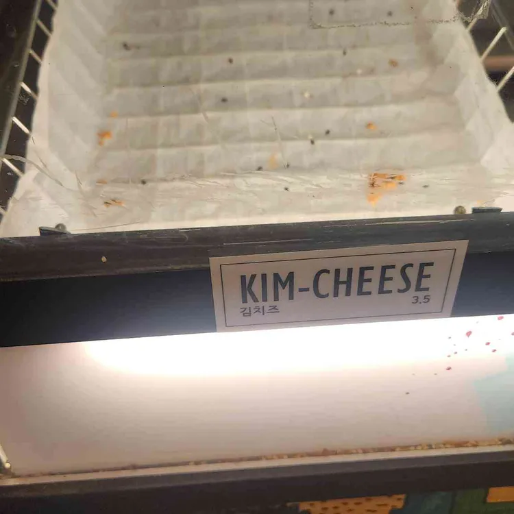 에브리띵베이글 사진 2