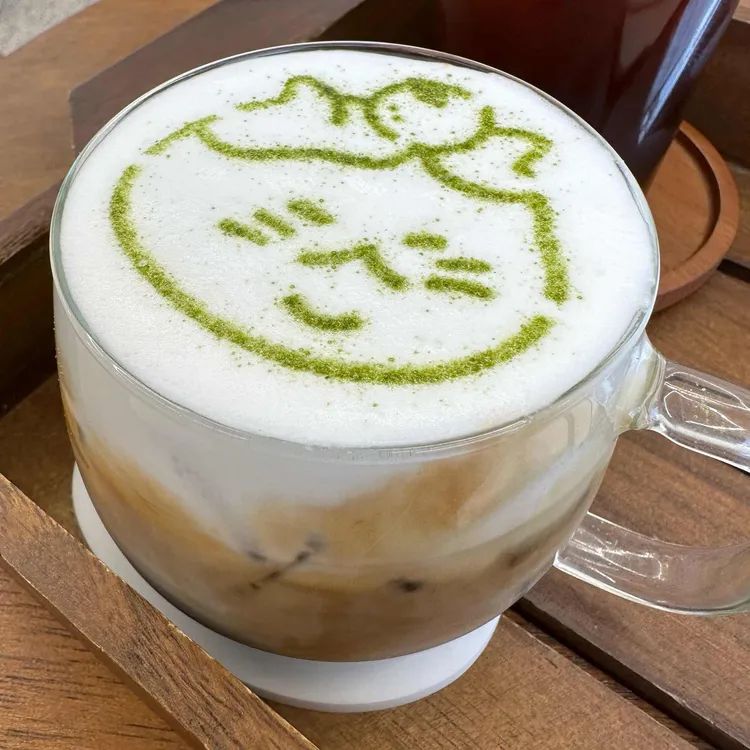 제주냥이 대표 사진