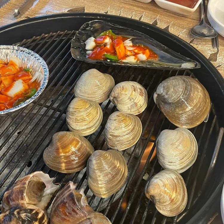 행운동조개 대표 사진