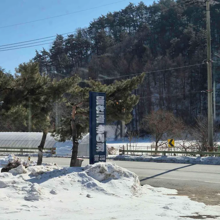 물안골송어회 대표 사진