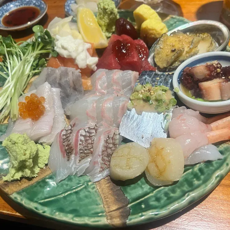 로지토라 대표 사진