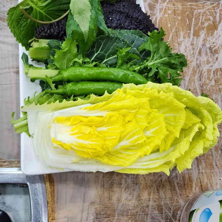송가네 사진 1