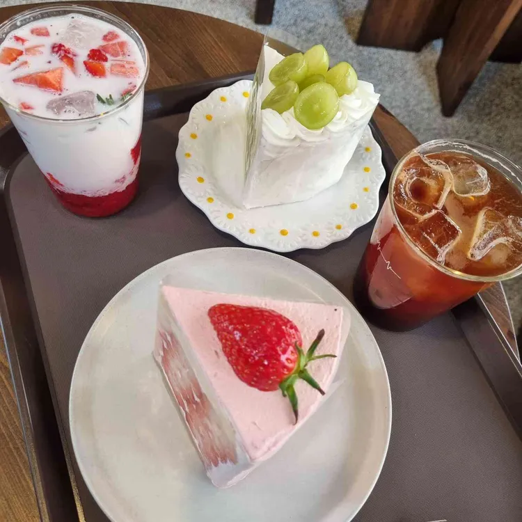 헤르츠 로그 사진 2