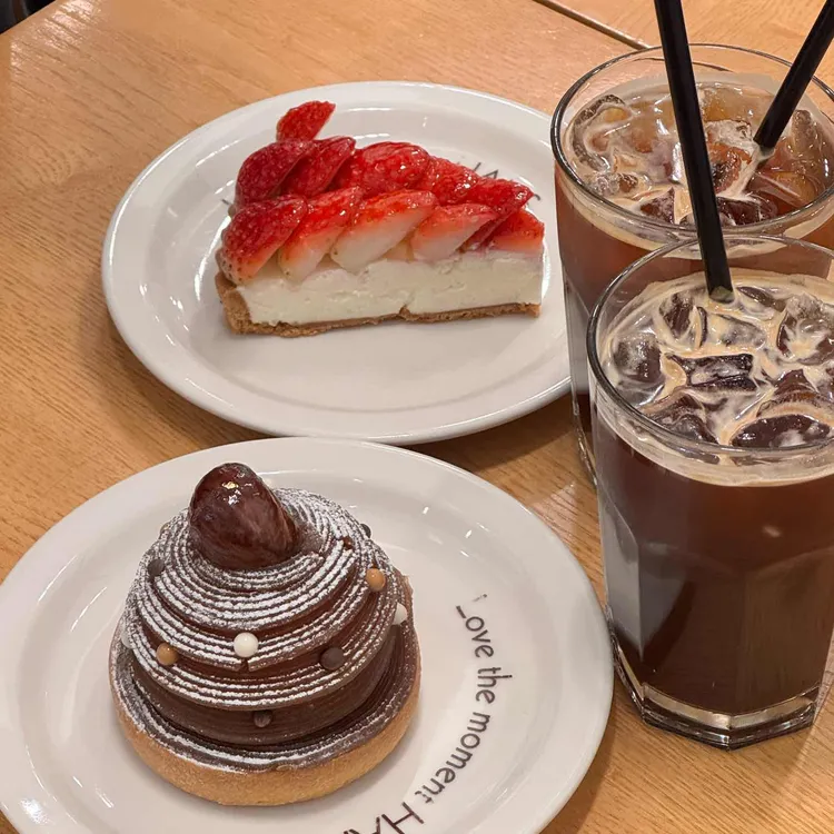 한스 사진 2
