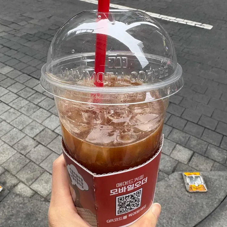 매머드익스프레스 대표 사진