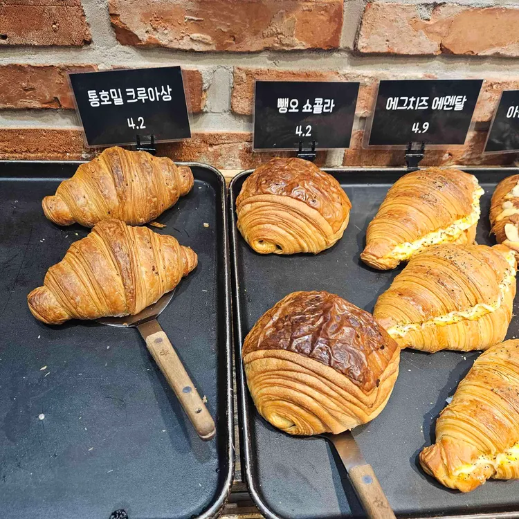 빠리당 대표 사진