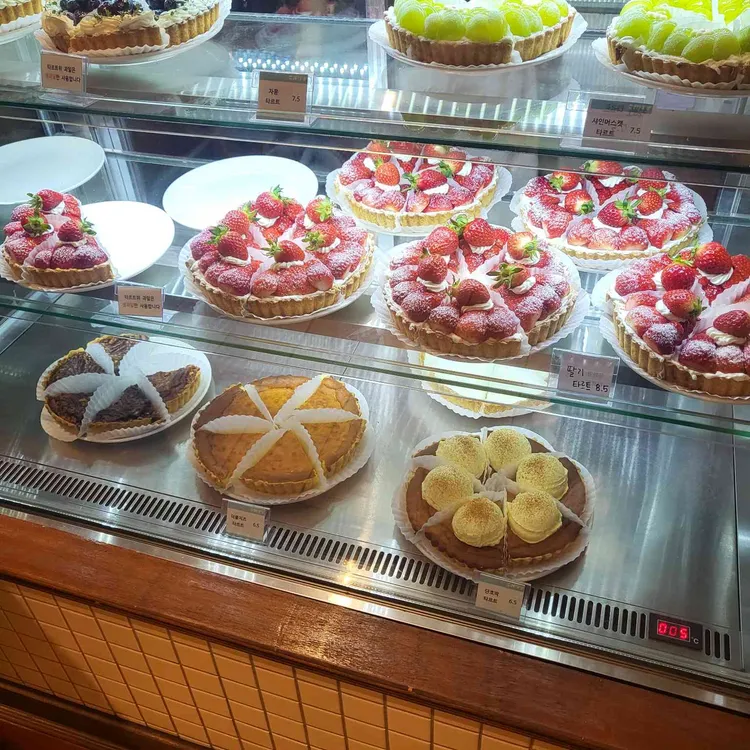 오티티 사진 2