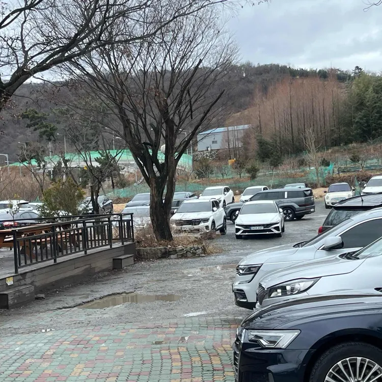 산수정 대표 사진