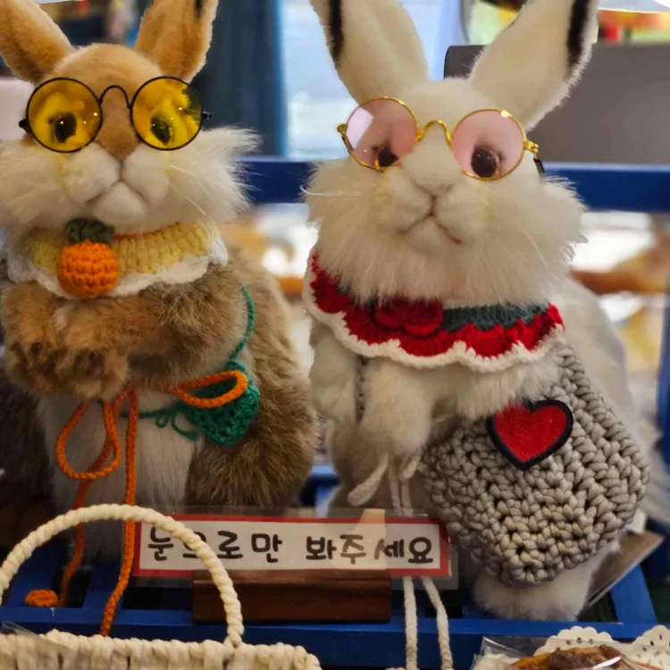 카페바니 대표 사진