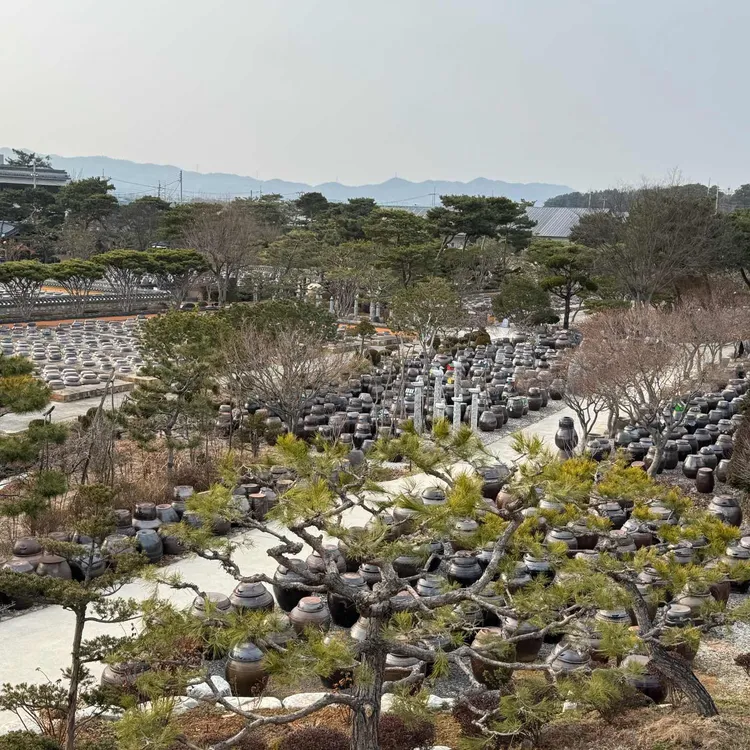 고스락 대표 사진