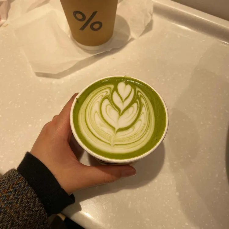 %아라비카 대표 사진