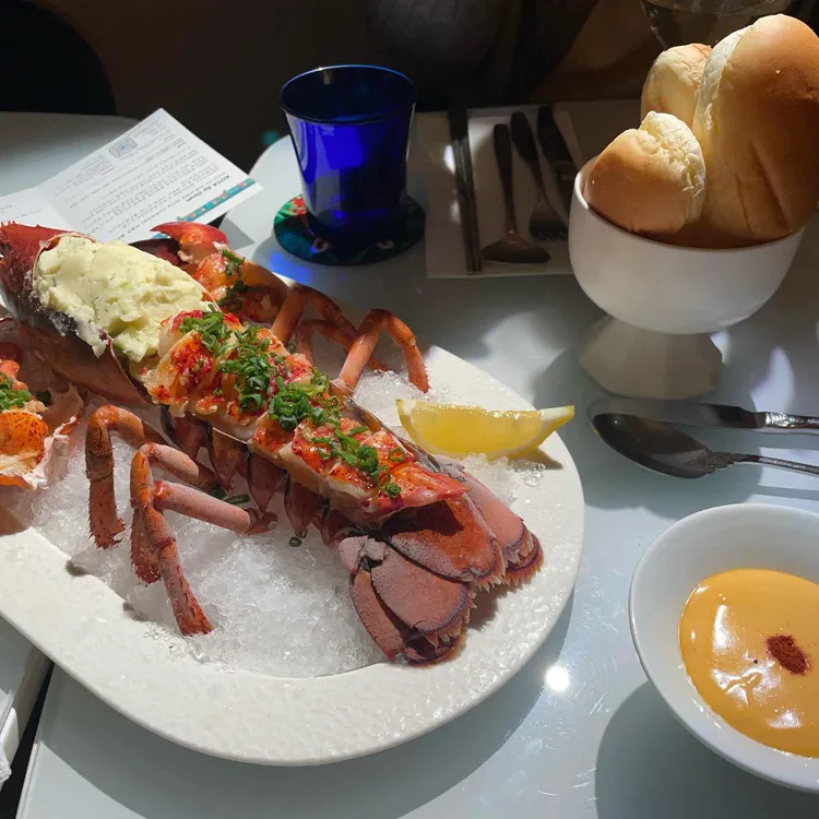 코타바이 뎐 대표 사진