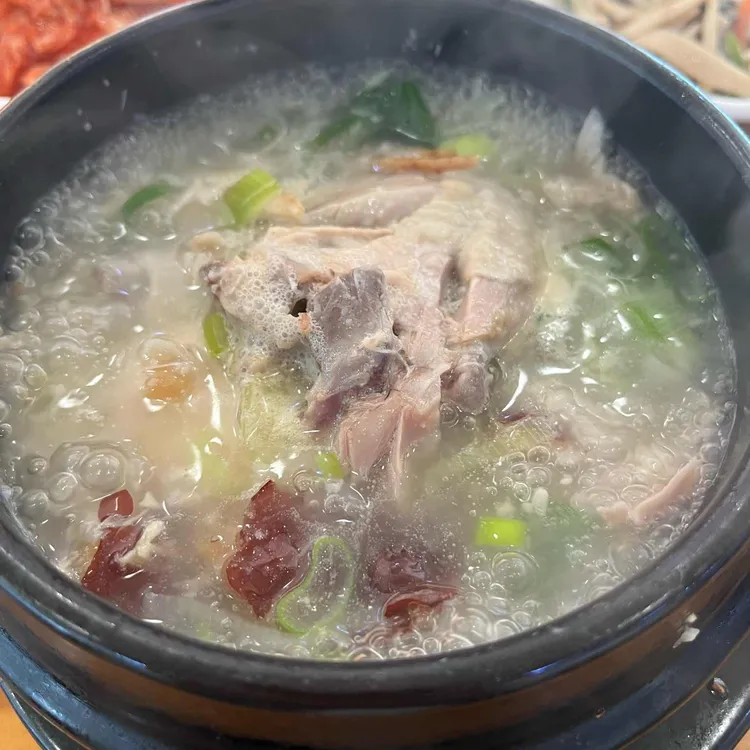 소나무 대표 사진