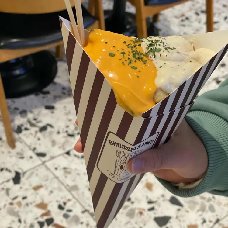 브뤼셀 프라이 대표 사진