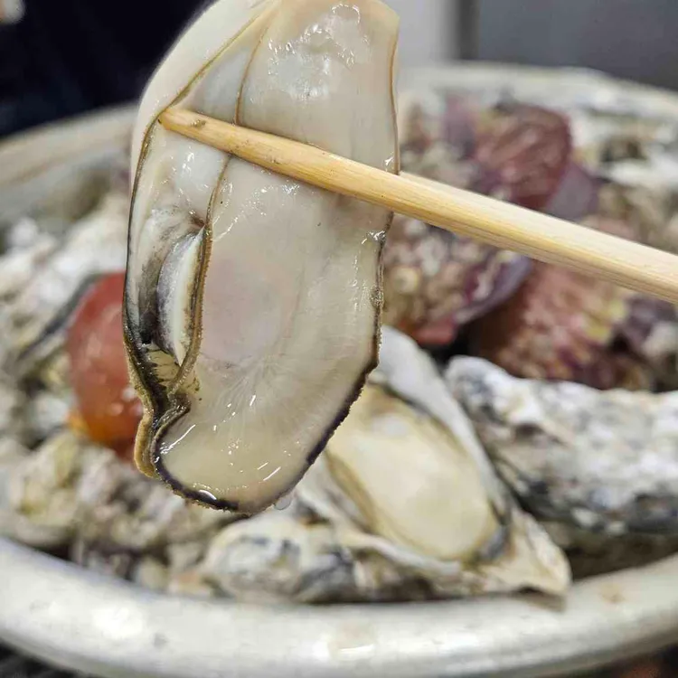 민들레굴수산 대표 사진