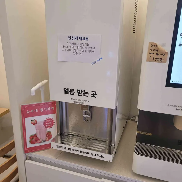 카페카롱 대표 사진