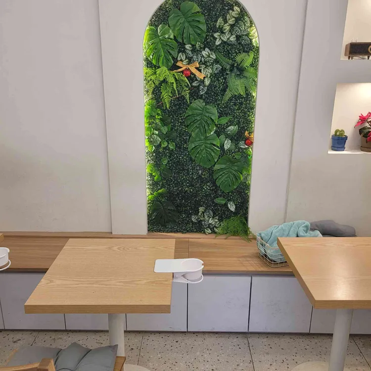 카페카롱 대표 사진