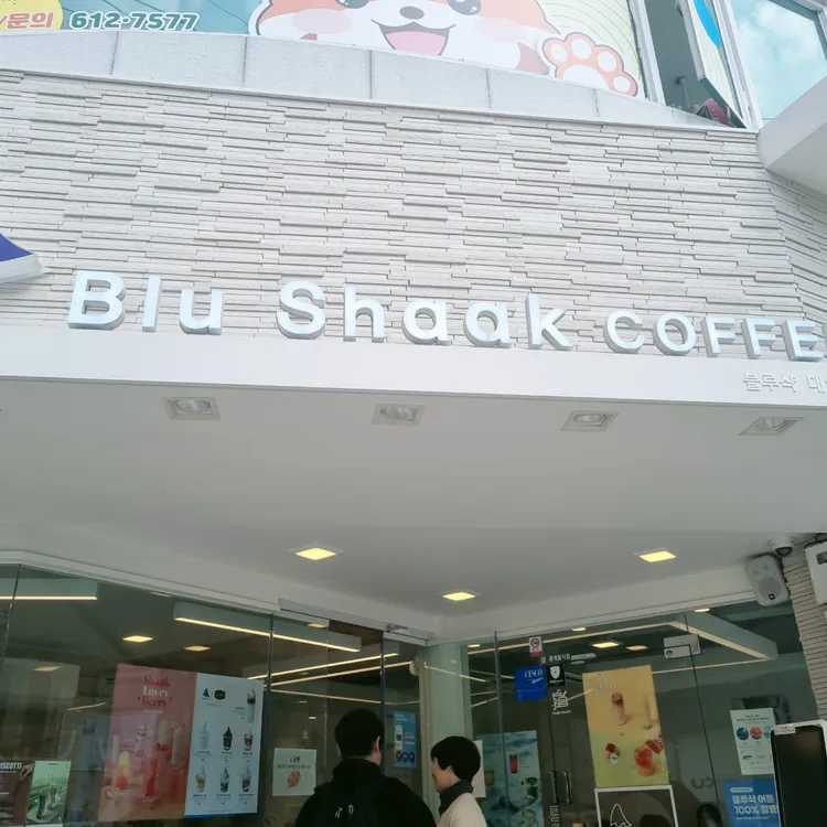 블루샥 대 대표 사진