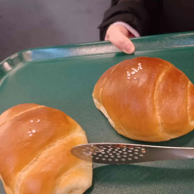 콜렉티보 대표 사진