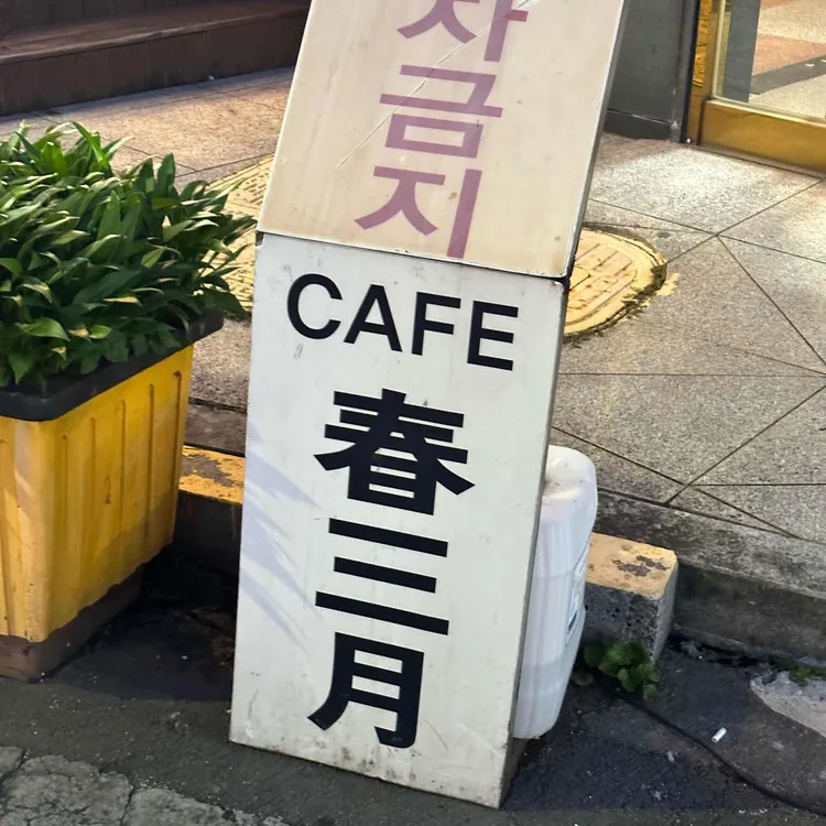 춘삼월 사진 1