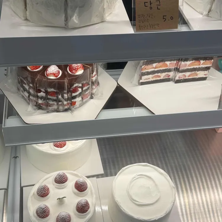 우나돌체 대표 사진
