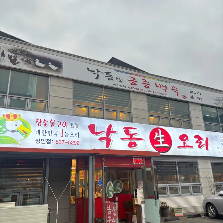 낙동생오리 대표 사진