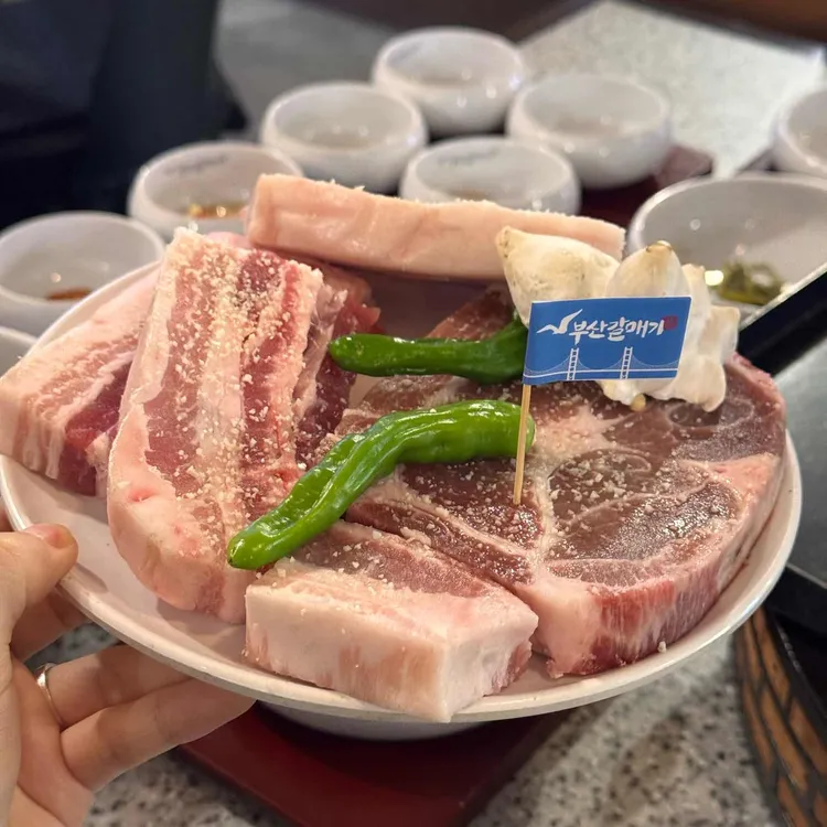 부산갈매기 대표 사진