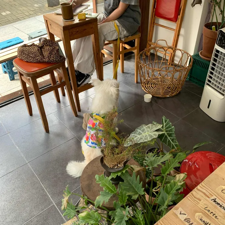 필리커피 사진 2