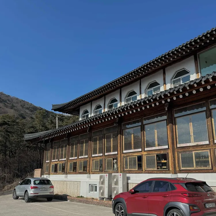 벽오동 대표 사진