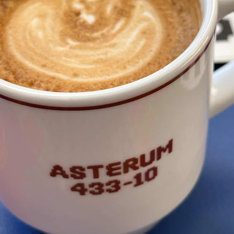 ASTERUM 433-10 대표 사진