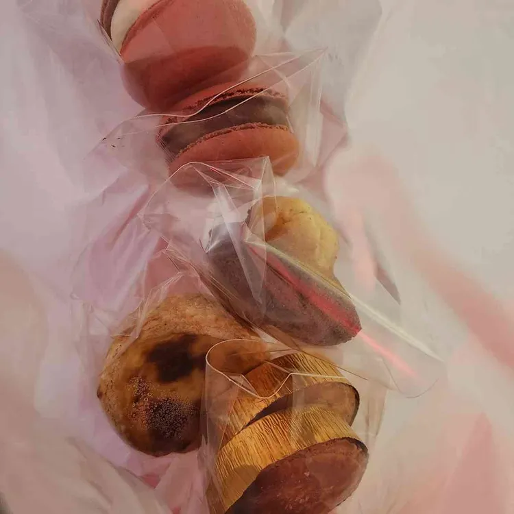 알로하올라 대표 사진