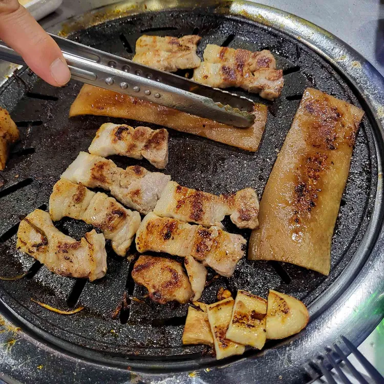 공원갈매기 대표 사진