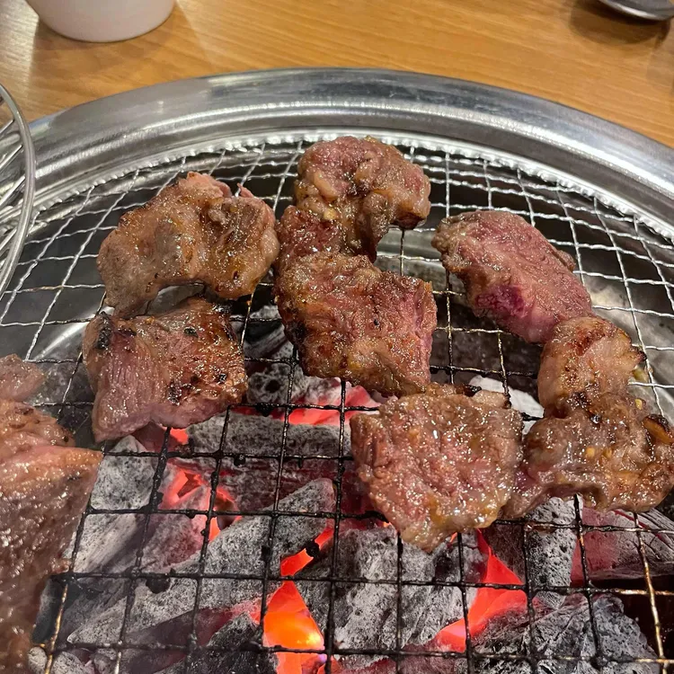 육식왕 대표 사진