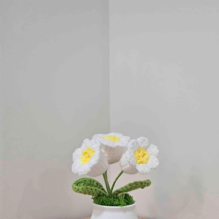 카페리조이스 대표 사진