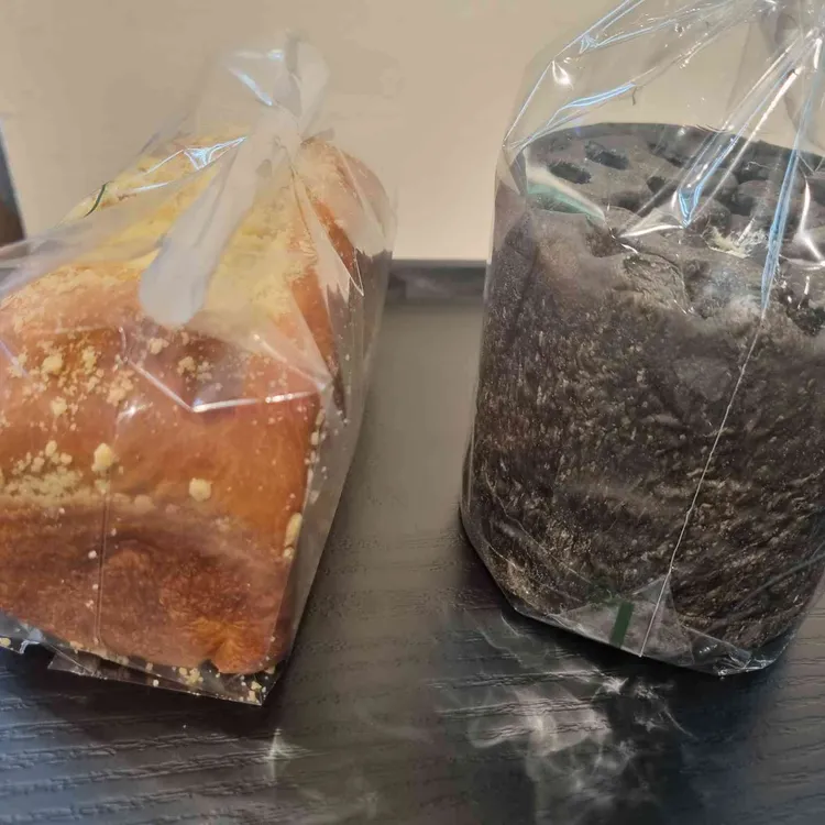 성북동빵공장 대표 사진