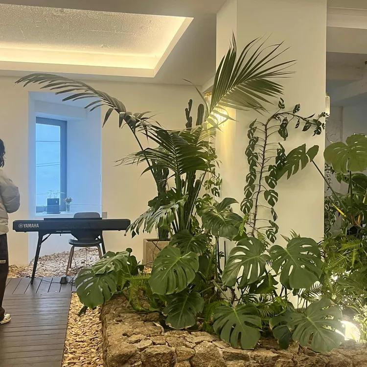 랑데자뷰 대표 사진