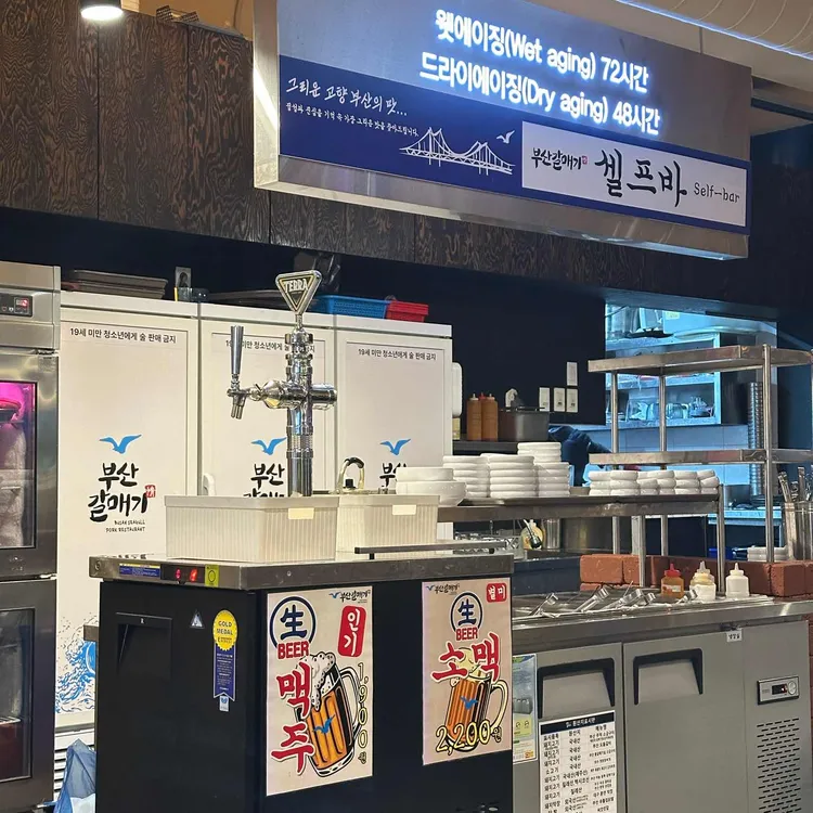 부산갈매기 대표 사진