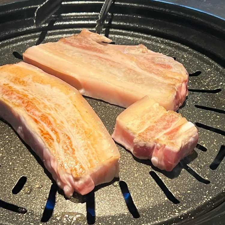 강고집 사진