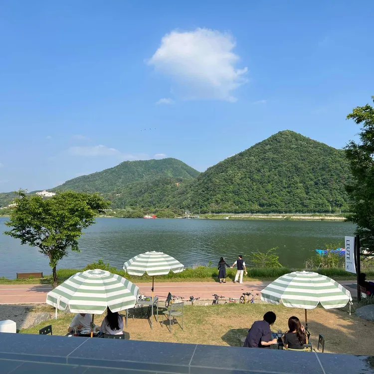 로이테 대표 사진