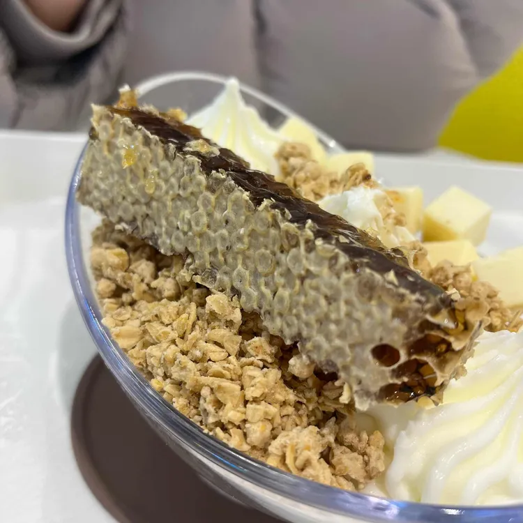 요거트아이스크림의정석 대표 사진