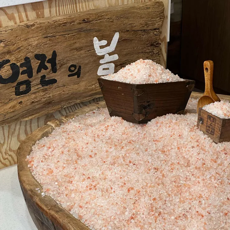 염전의봄 대표 사진