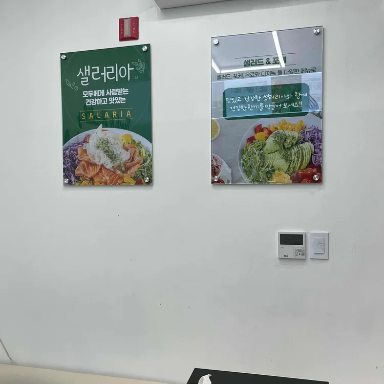 샐러리아 사진 2