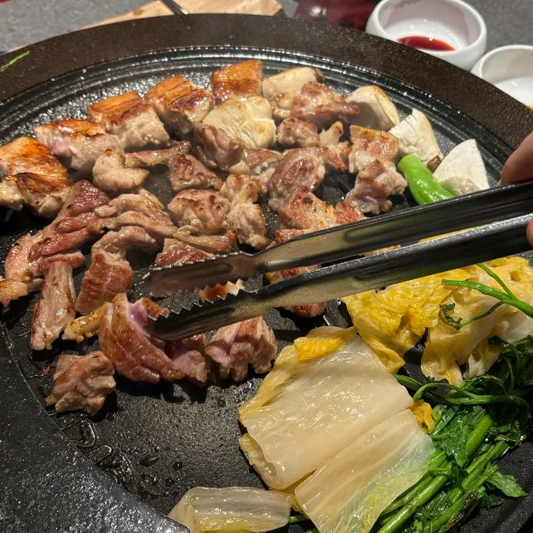 부산갈매기 사진 2