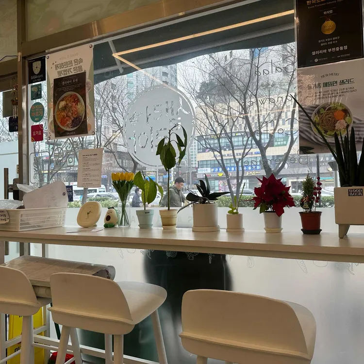 샐러리아 대표 사진